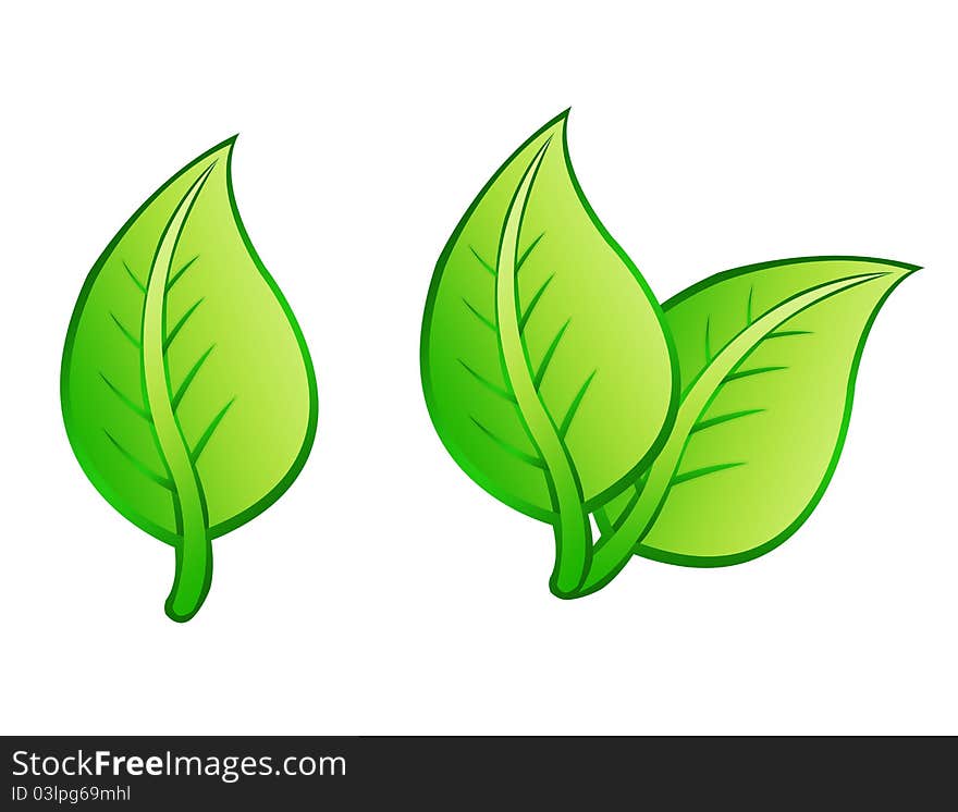 Green leafs isolated over white background. illustration