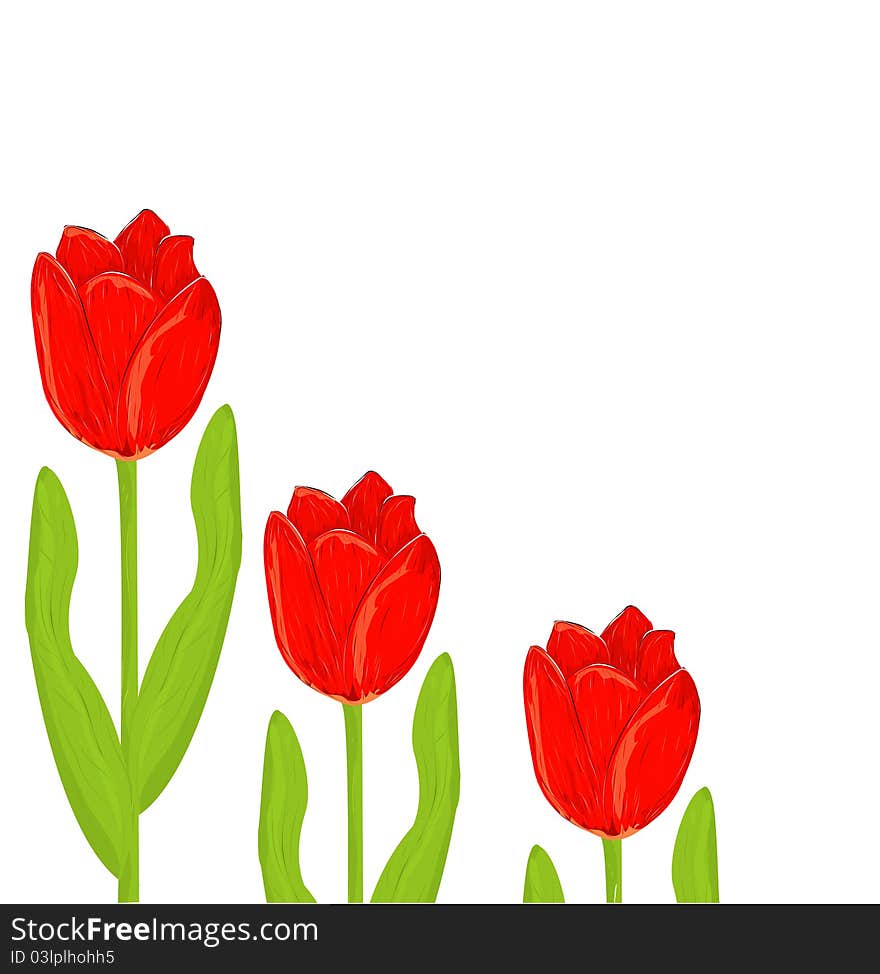 Red Tulip Spring Card