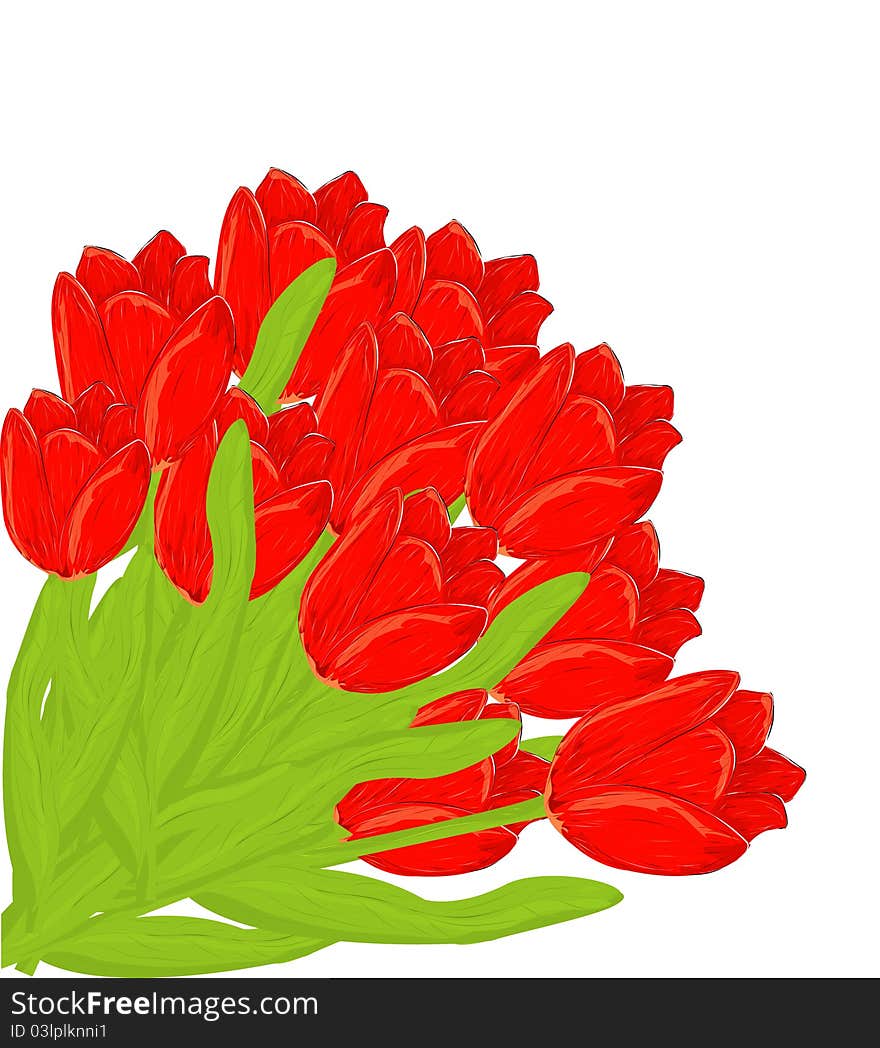 Bunch of red tulips illustration