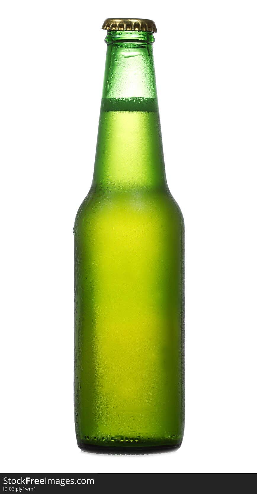 Bottle of beer