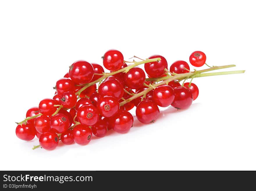 Red currant on a white background