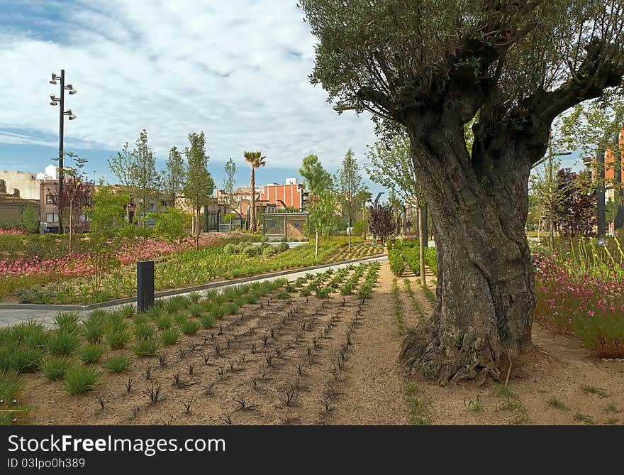 Pompeu Fabra Gardens Badalona, Barcelona Spain. Lung of the city. Pompeu Fabra Gardens Badalona, Barcelona Spain. Lung of the city.