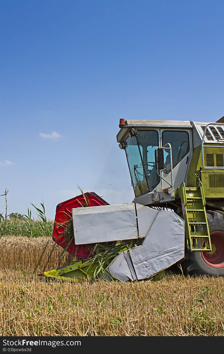 Combined Harvester collecting wheat or barley