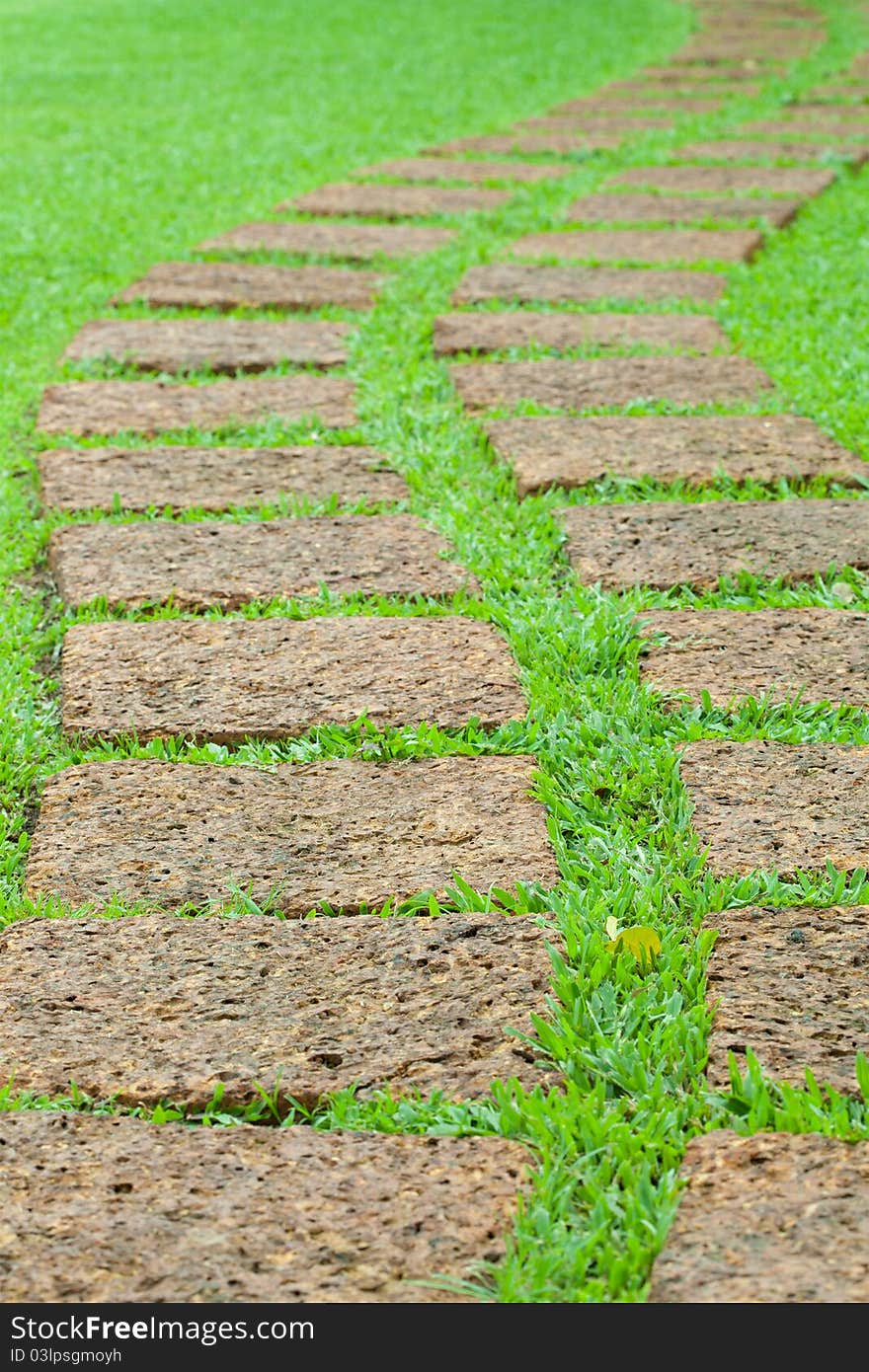 Garden stone path with green grass