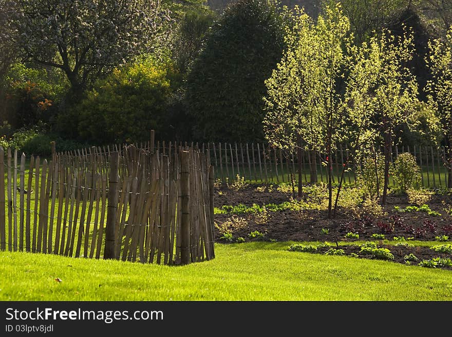 Garden In Spring