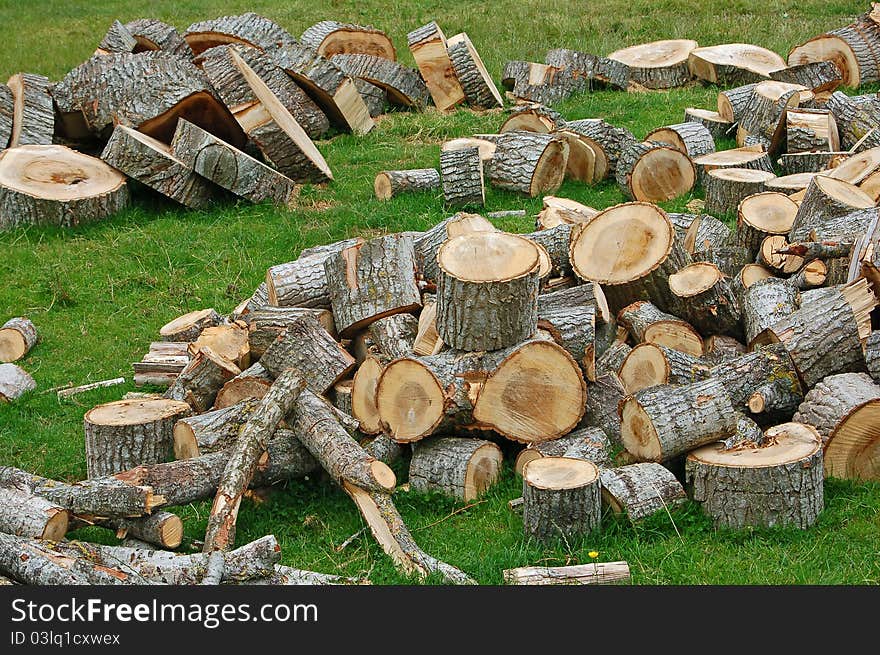 Logs, cut, sawn into discs, lying in field. Logs, cut, sawn into discs, lying in field