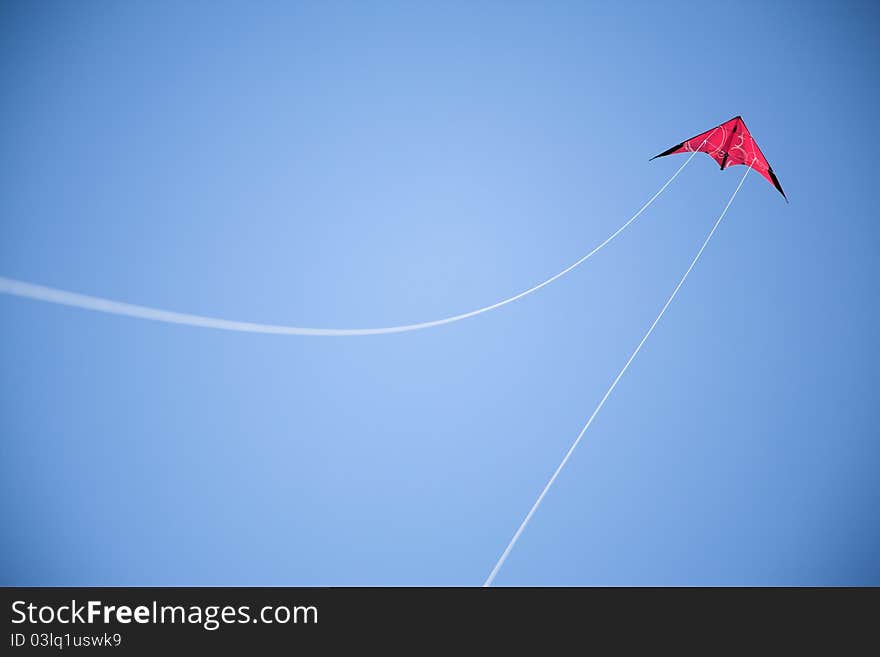 Red kite, blue sky