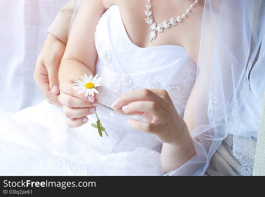 Bride with groom holds a camomile. Bride with groom holds a camomile