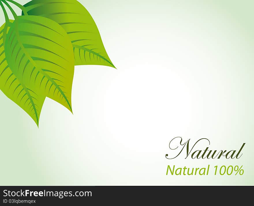 Leaves with 100 percent natural text over green background. Leaves with 100 percent natural text over green background