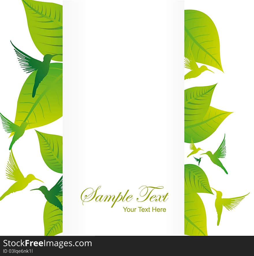 Green and white blank paper with leafs and hummingbird over white background. Green and white blank paper with leafs and hummingbird over white background