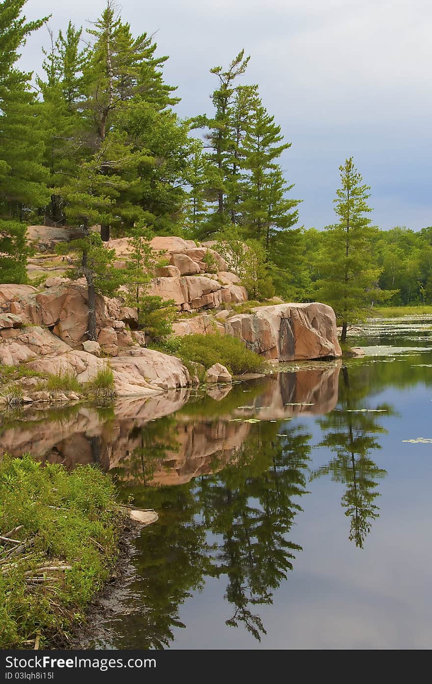 Alpine lake in the park