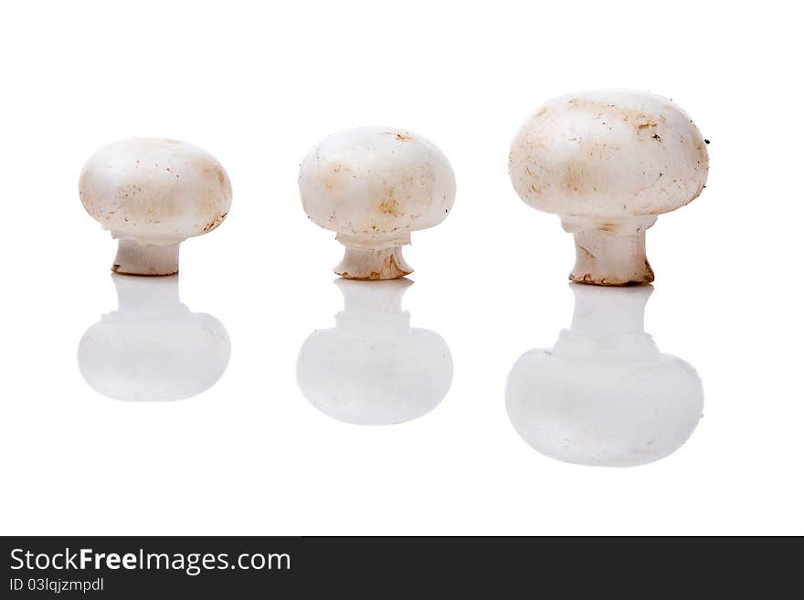 Three Mushrooms