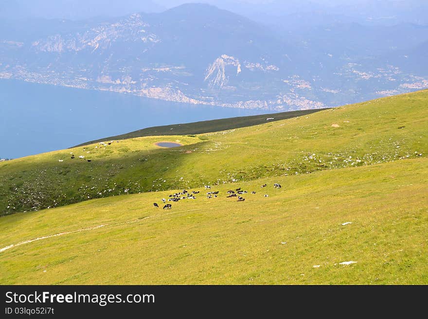 View from Monte Baldo