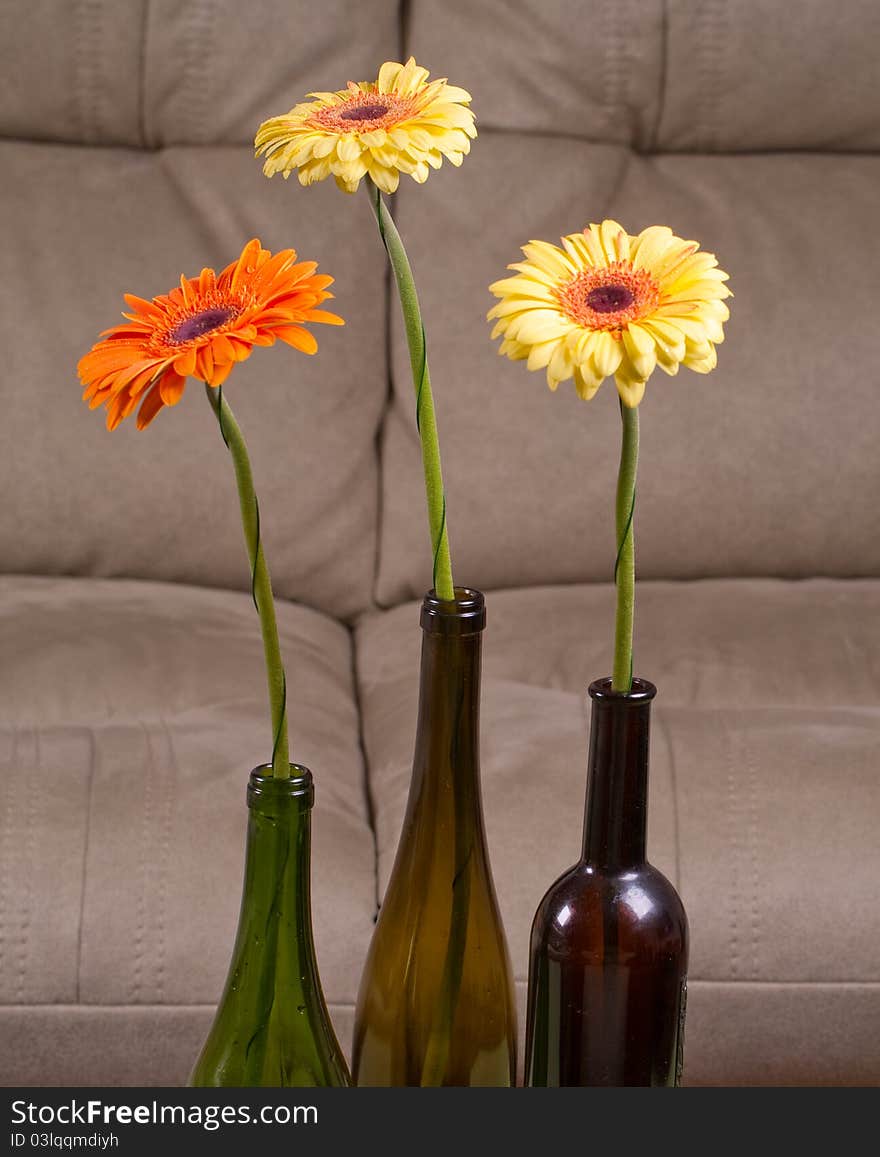 Three gerbera flowers in interior. Three gerbera flowers in interior