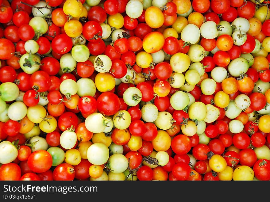 Color of tomato