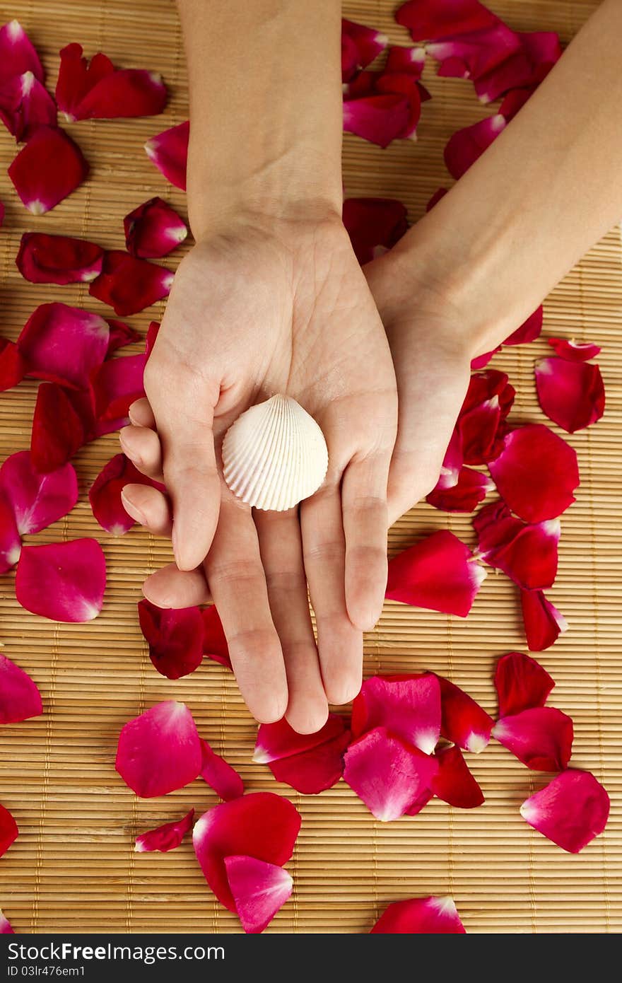 Close-up of beautiful hands holding shell and lie on red rose petals. Close-up of beautiful hands holding shell and lie on red rose petals