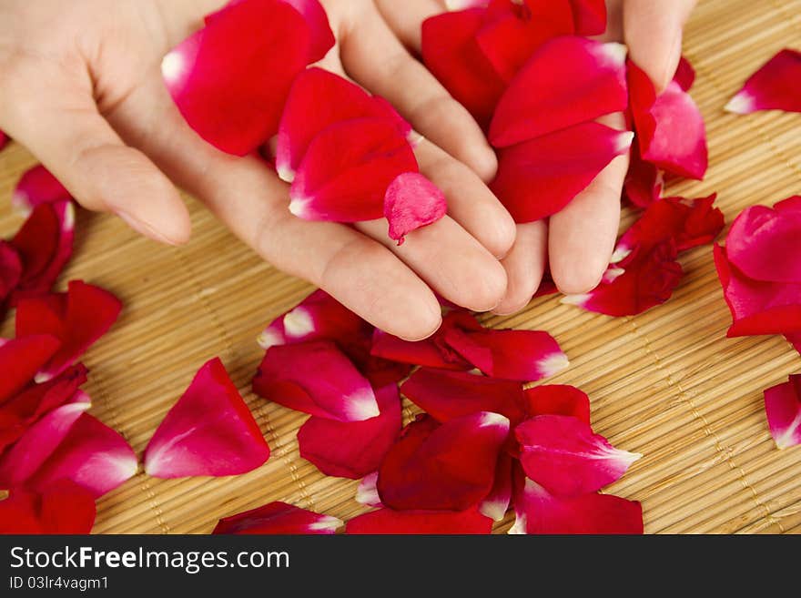 Hands on rose petals