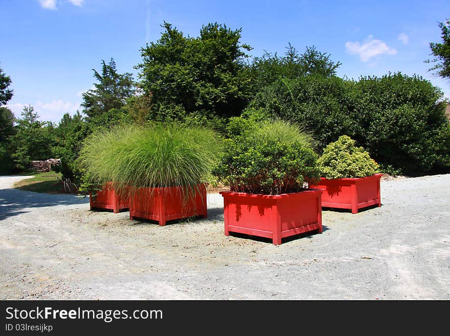 Garden with lush green plants in the red pots