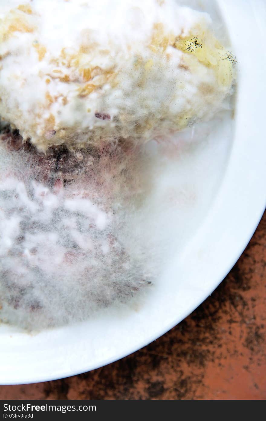 Mold has grown up in the forgotten foods