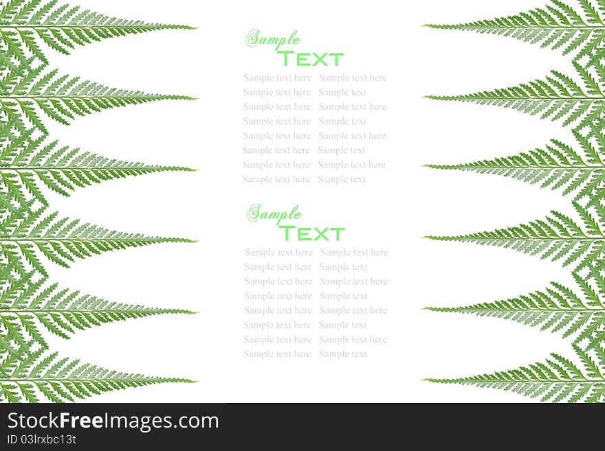 Fern leaves frame with sample text