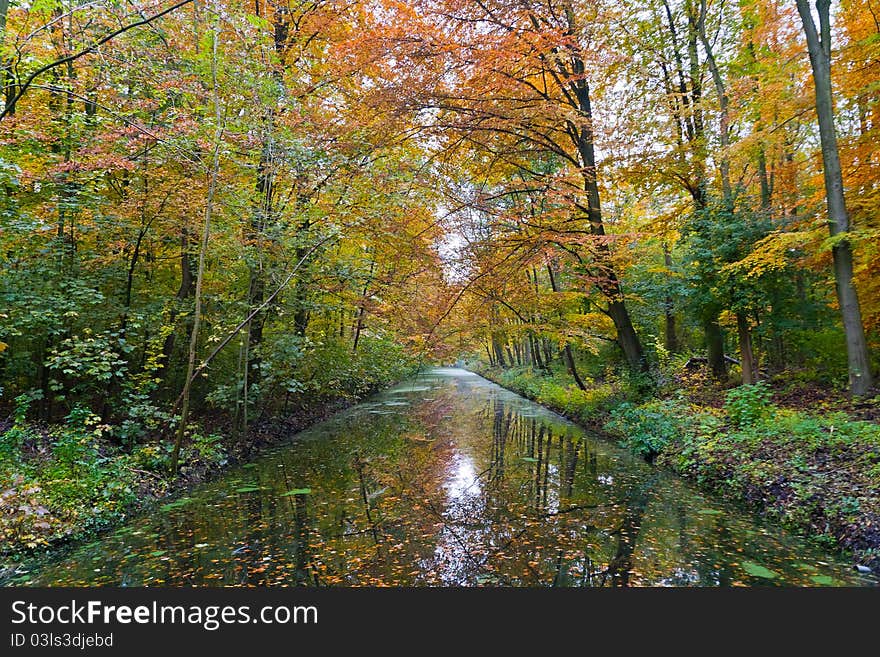 A River In A Forrest During Fall