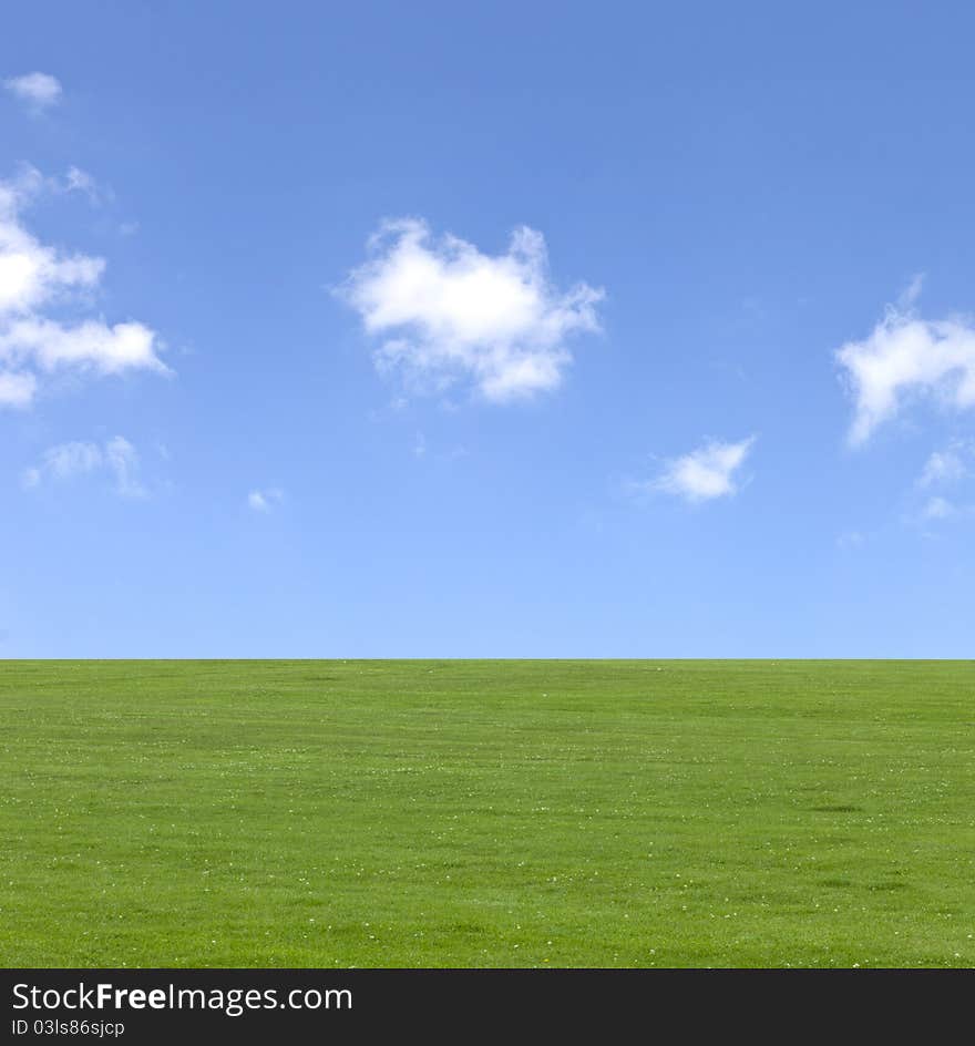 Blue skies, green grass in the park. Blue skies, green grass in the park