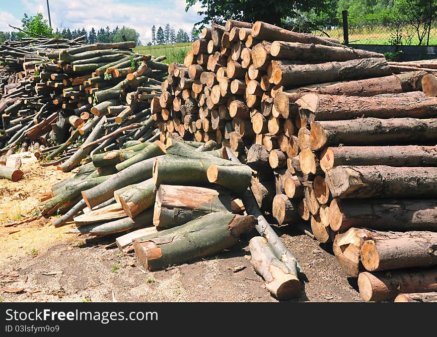 Lot of cutt wood pieces, renewable energy source