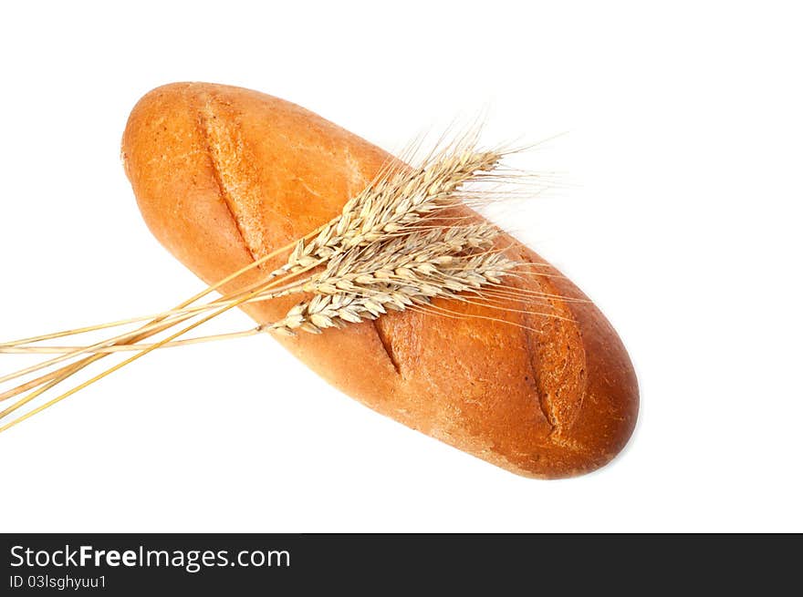 Bread and wheat on a white background