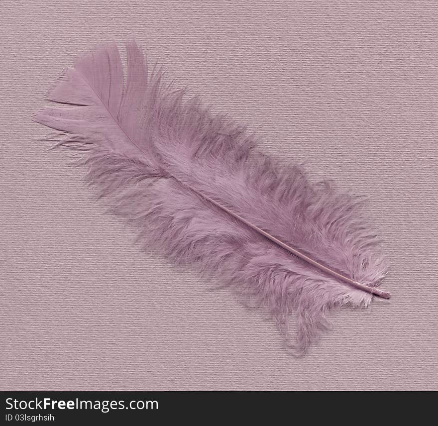 Feather