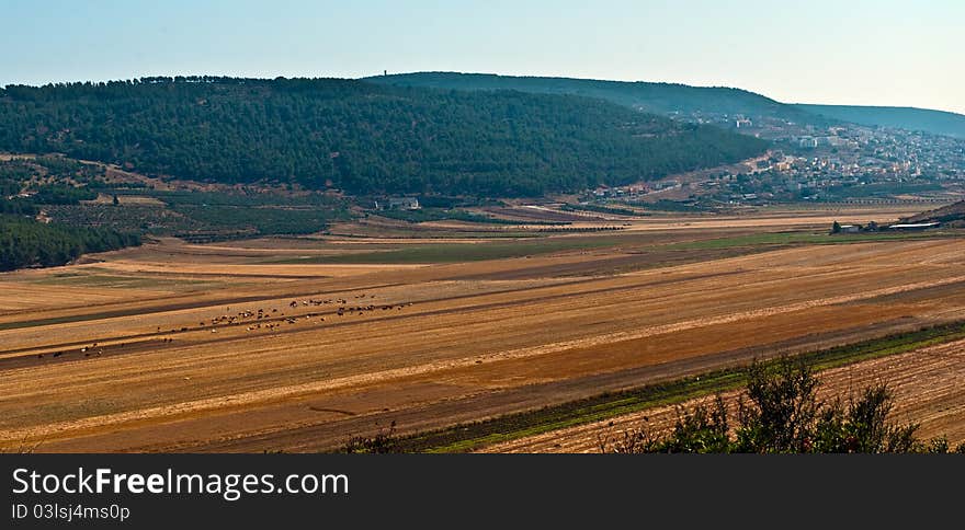 Panorama of agricultural landscape. Lower Gallil. North of Israel. Panorama of agricultural landscape. Lower Gallil. North of Israel.