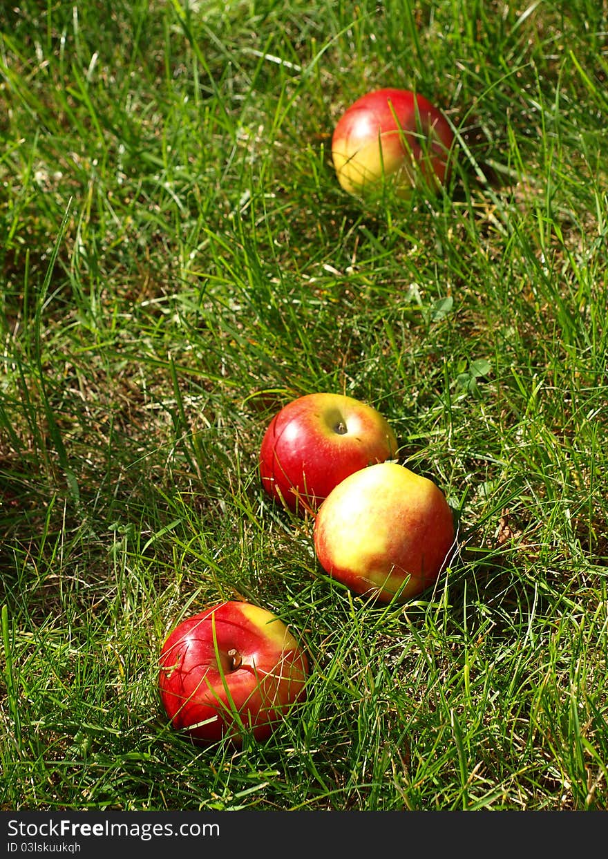 Red apples in the grass