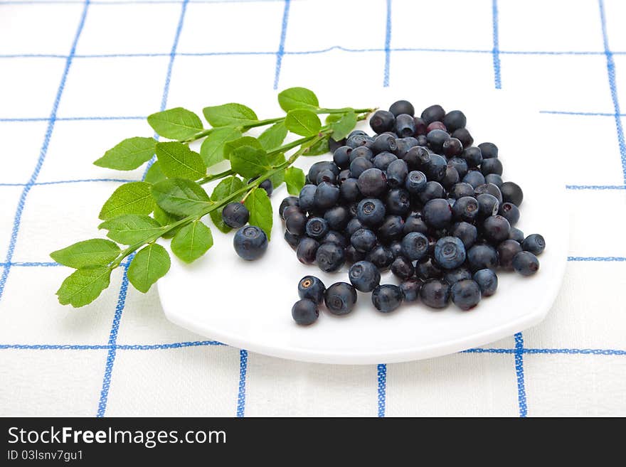 Blueberries and a sprig of green leaves on a white saucer on a checkered tablecloth. Blueberries and a sprig of green leaves on a white saucer on a checkered tablecloth