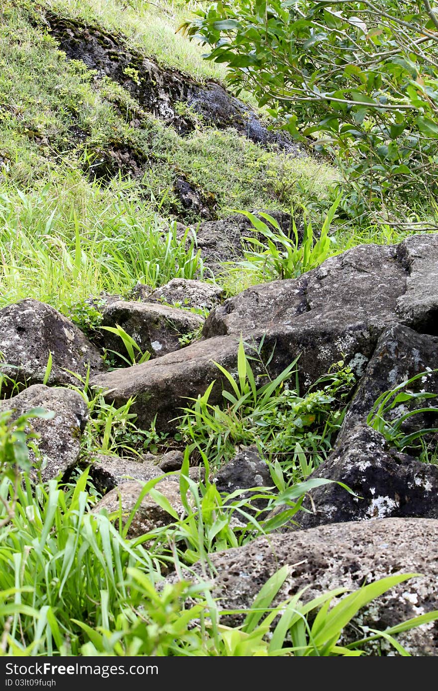 Mountainside of green and lava rock off Pali Lookout. Mountainside of green and lava rock off Pali Lookout