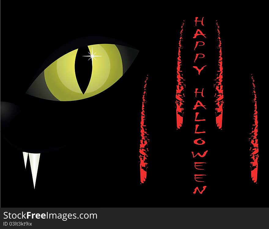 Cat's eyes in the halloween background