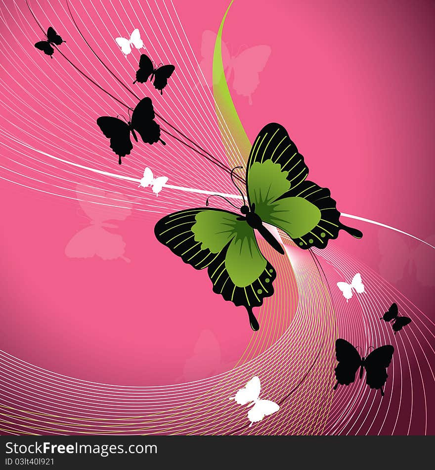 Green butterfly against pink background. Green butterfly against pink background