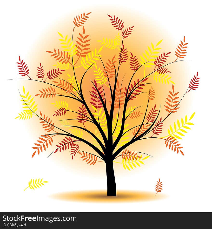 Beautiful autumn tree. Design element. Fall illustration.