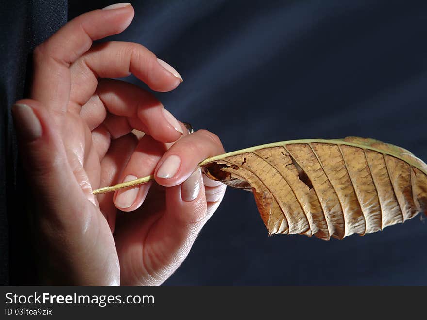 Woman's hand, which holds a sheet of wood. Ecology and people. Woman's hand, which holds a sheet of wood. Ecology and people