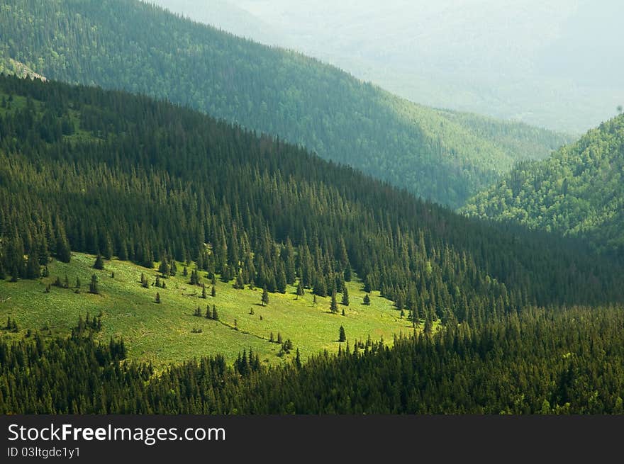 Carpathians mountain in summer time