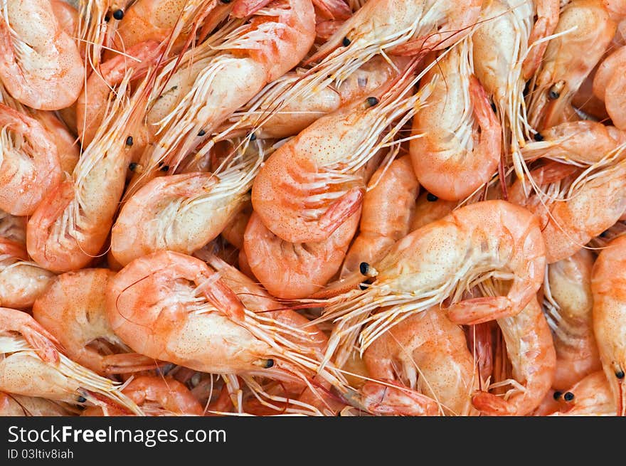 Shrimps