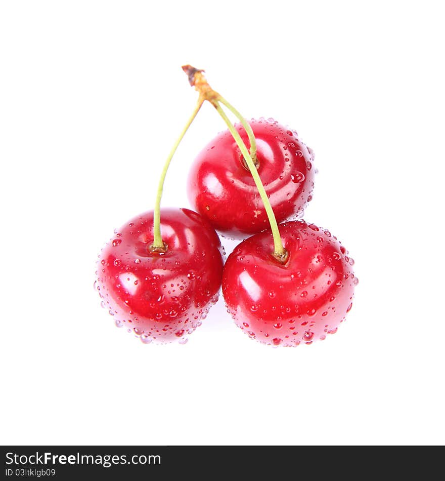 Cherry fruits covered with drops of water on a white background