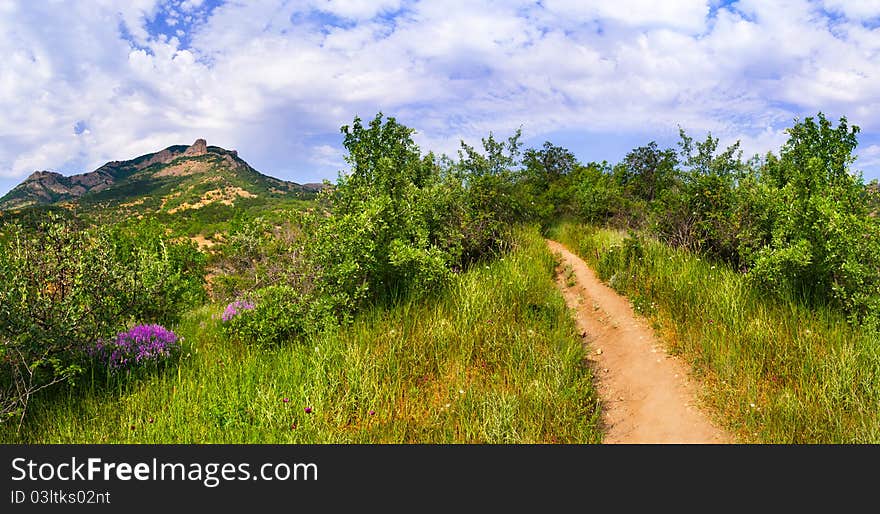 Beautiful summer landscape in the mountains