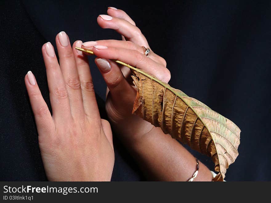 Woman's hand, which holds a sheet of wood. Ecology and people