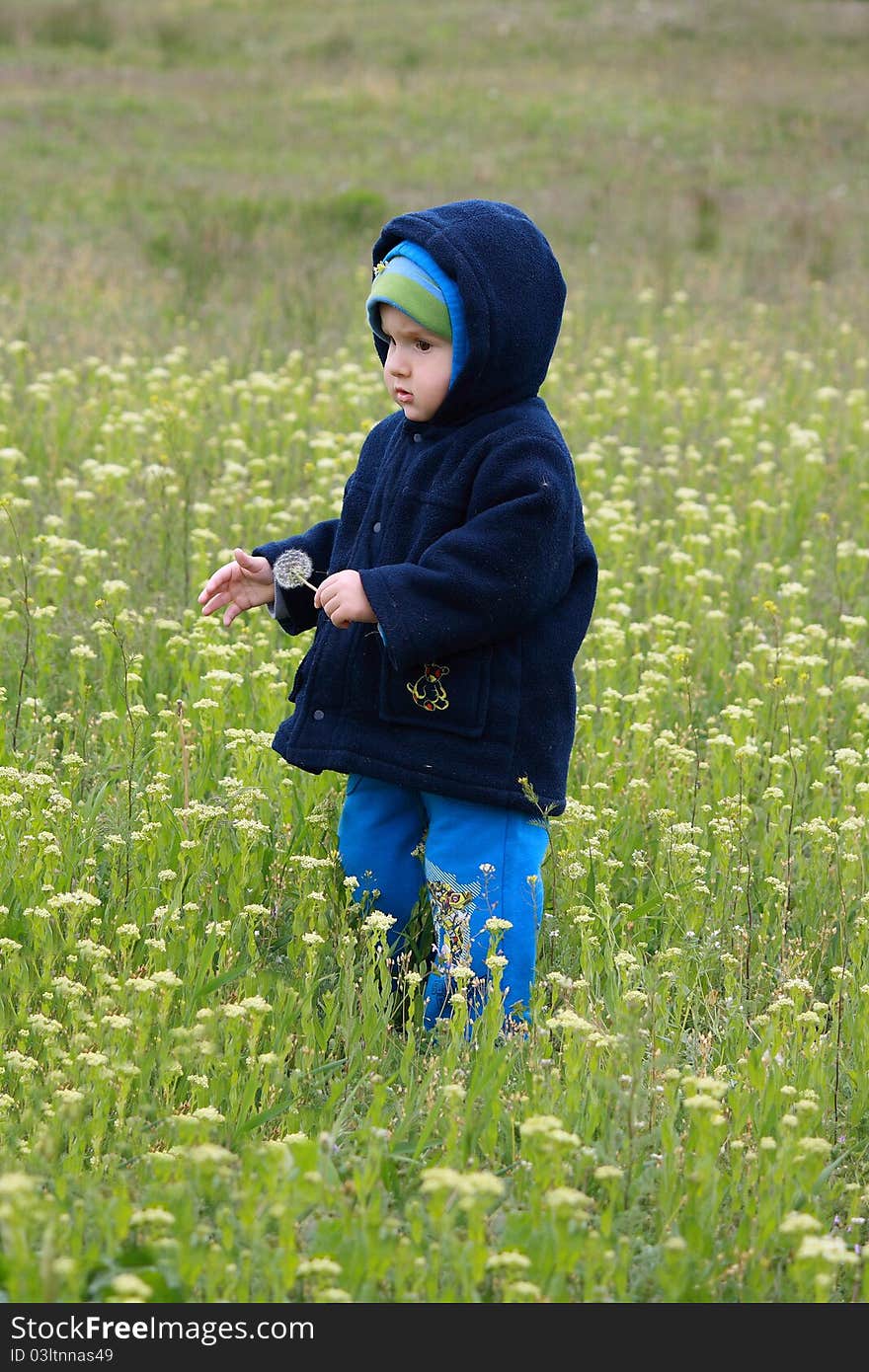 A child on flowery meadow.