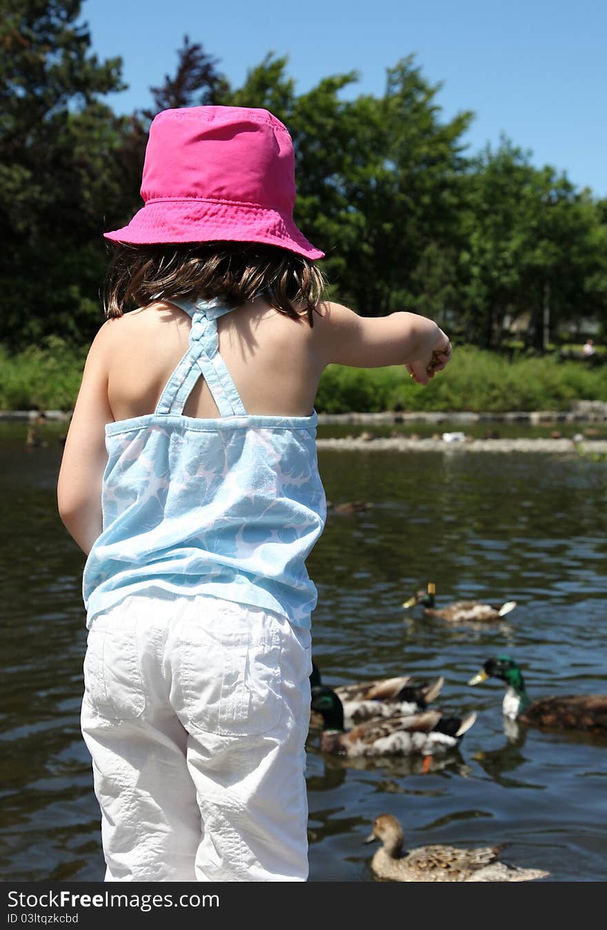 Adorable little girl back-on feeding ducks. Adorable little girl back-on feeding ducks