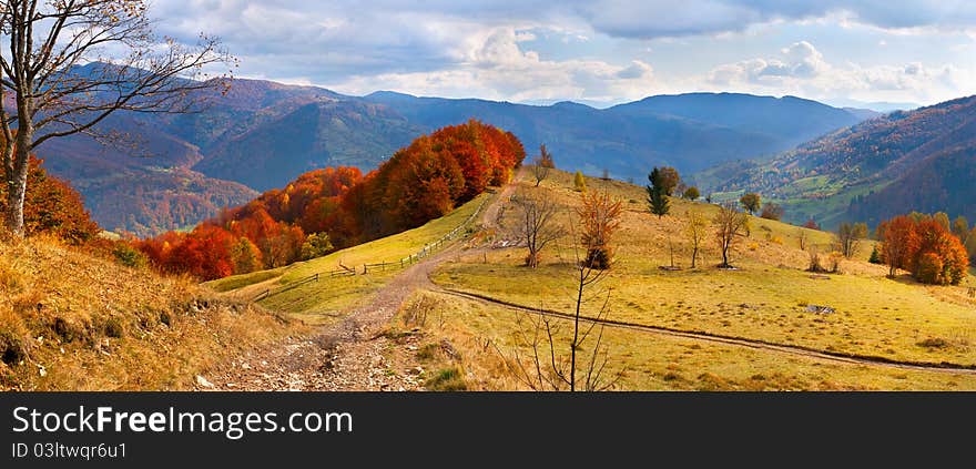 Colorful autumn landscape