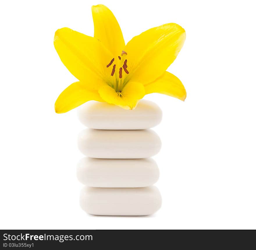 Lily and soap on a white background