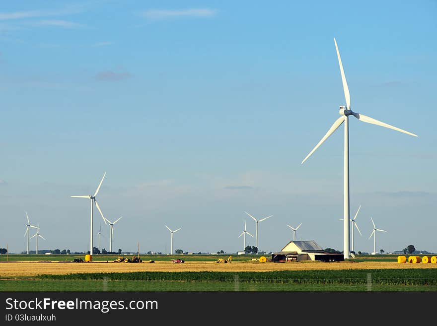 Electric windmill farm in corn field