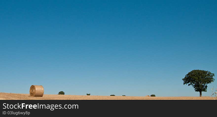 Tree And A Haystack