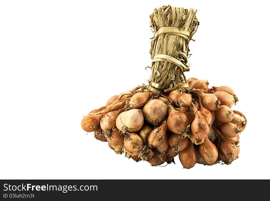 Group of onions dry on white background. Group of onions dry on white background.