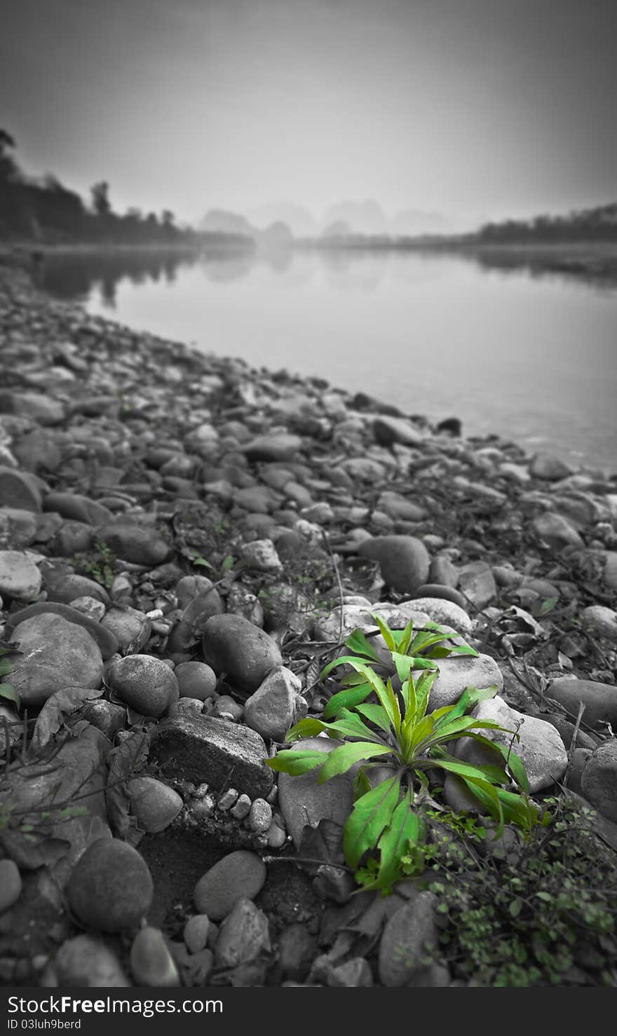 Lijiang riverside